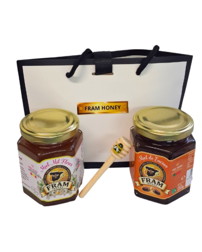 Bolsa regalo con miel artesanal (2 tarros 250 g)